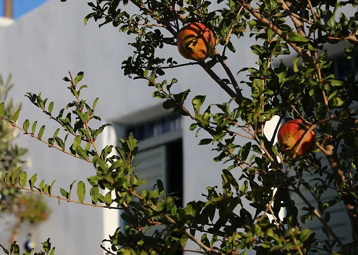 Apartmán Mezzolovero *